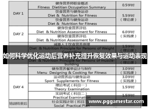 如何科学优化运动后营养补充提升恢复效果与运动表现